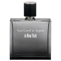 VAN CLEEF & ARPELS IN NEW YORK туалетная вода (мужские) 125ml *Tester
